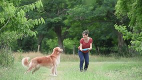 Woman playing with throwing frisbee to dog