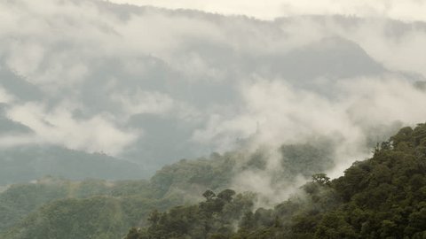 Time-lapse of mist rising from primary montane rainforest in the Rio Quijos Valley, Ecuador. Rainfall in the Amazon basin is recycled into the atmosphere by transpiration from the trees.