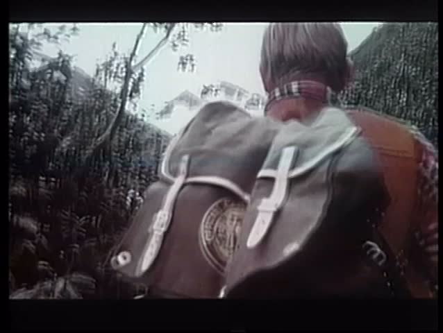 Rear view of man with backpack hiking on mountain path