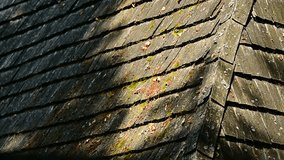 Architecture detail with old and weathered wooden roof tiles - Powered by Shutterstock - Get 15% off with code: PIKWIZARD15