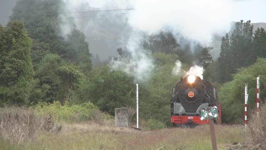 A steam train on a excursion on a little used branch line. 