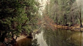 Merced River In Yosemite National Park