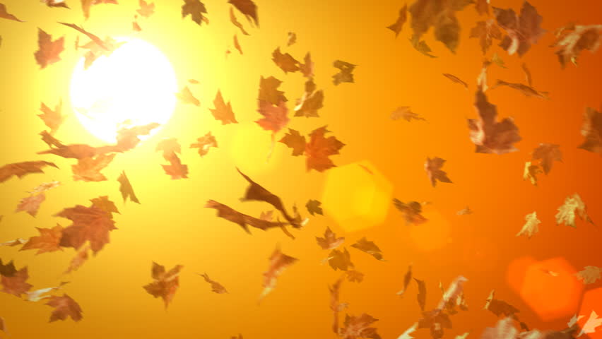 Animated Background of Blowing Leaves. Stock Footage Video (100% ...