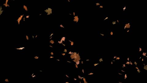 Animated background of blowing leaves. There is also a matte so that the leaves can be composited over your own footage.