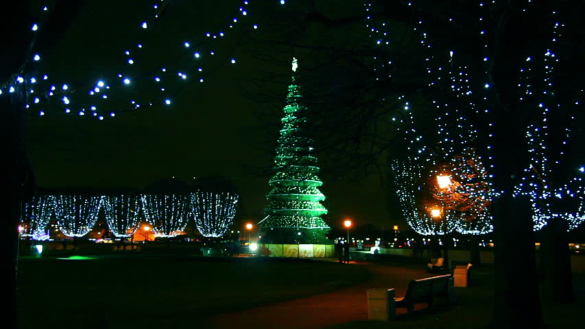 Christmas tree in Saint Petersburg at night