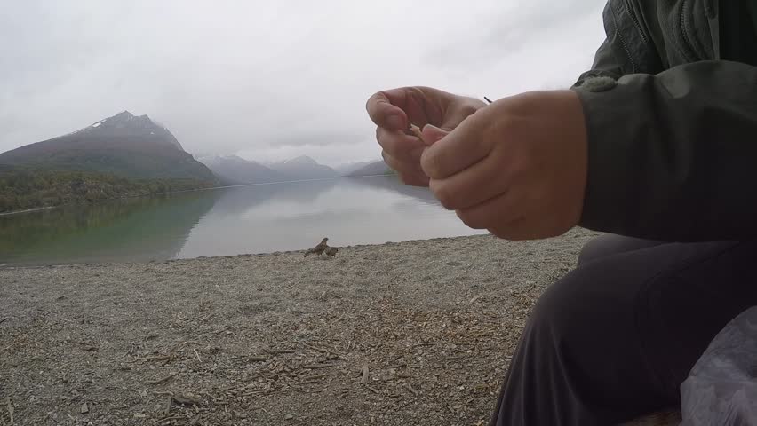 Young Man Sitting on the Shore of the Lake and Feeding Two Birds. Beautiful Landscapes