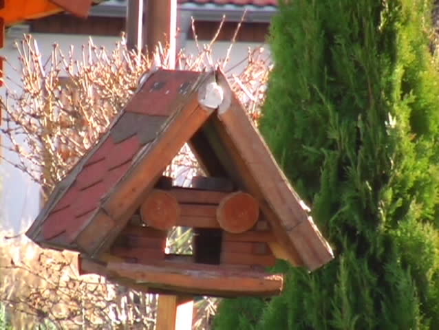 birdhouse