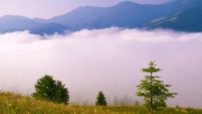 Time Lapse Clip. Fantastic Mountain Landscape with Morning Mist. Carpathian, Ukraine, Europe. Beauty World. 

