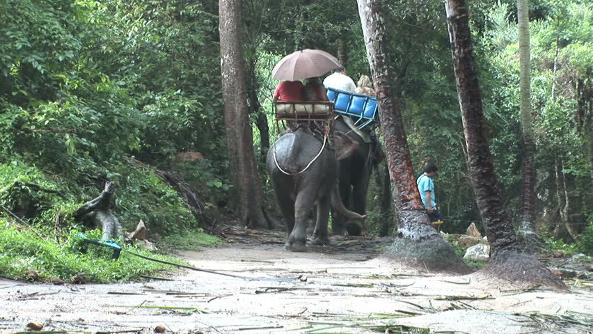 riding an elephant