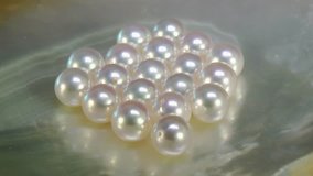 Natural sea akoya pearls on the seashell. white and pink tone, rotation, close up