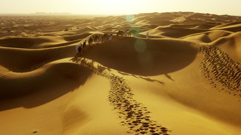 Aerial drone of Middle Eastern male camel owners in desert convoy
