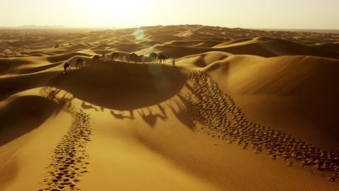 Aerial drone of camel train travelling across a Middle Eastern desert
