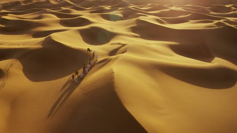 Aerial drone of Arab males in traditional dress leading camels through desert