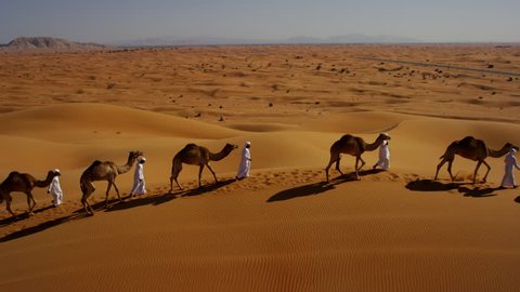 Aerial drone of Arab males in traditional dress leading camels through desert