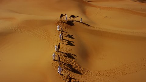 Aerial drone of camel train travelling across a Middle Eastern desert