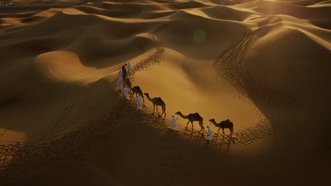 Aerial drone of a convoy of camels with owners across desert sand