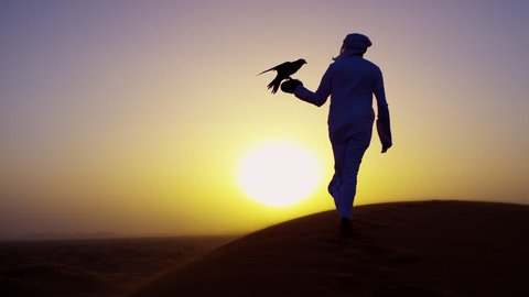 Sunset silhouette Arabic man with bird of prey on desert sands