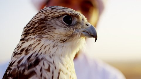Trained falcon tethered to male owner wearing traditional Arabic dress
