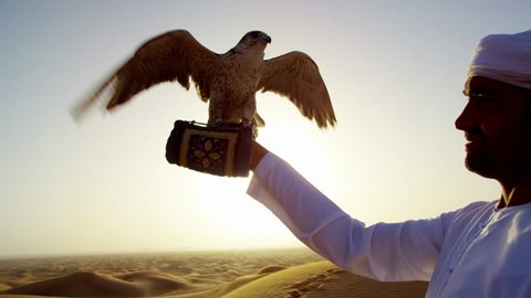 Falcon tethered to male owner in traditional Arabic dress sunset silhouette
