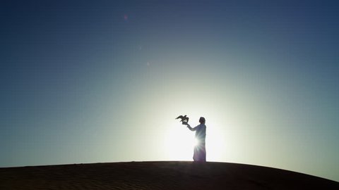 Silhouette of Middle Eastern falconer in desert with his bird of prey at sunrise