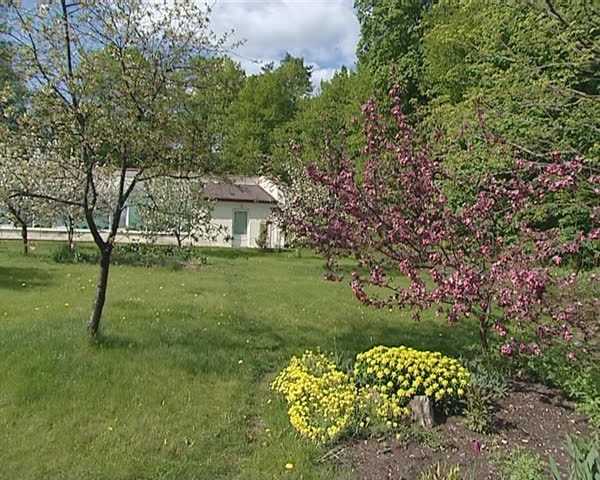 Red blooming trees and flowers. Spring garden fragment. 
