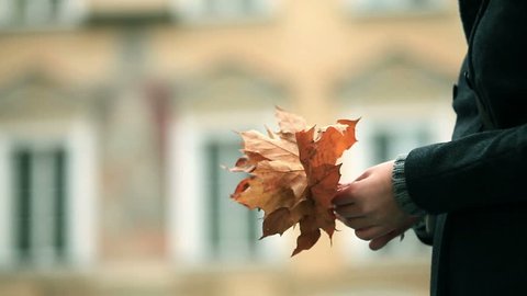 Bouquet of leaves in the girl hand