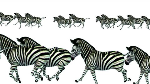 4k Group horses donkeys zebras animals silhouette migration running,Africa grasslands nature background. 4635_4k