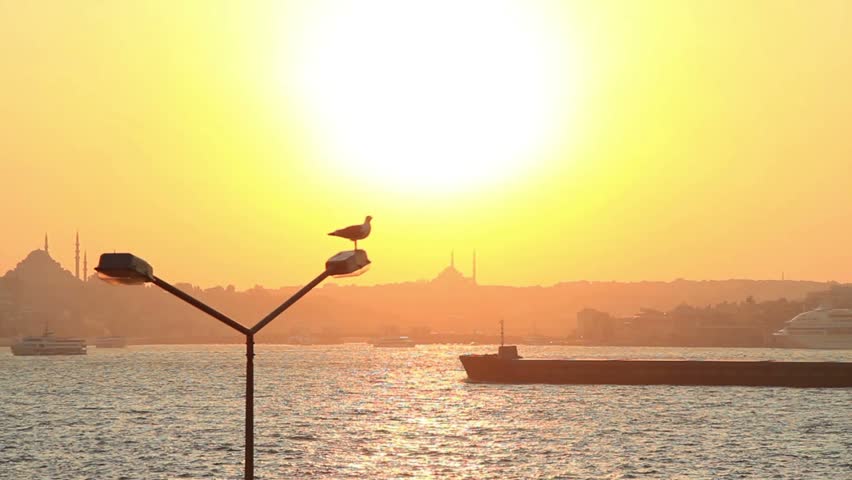 Summer in Istanbul  