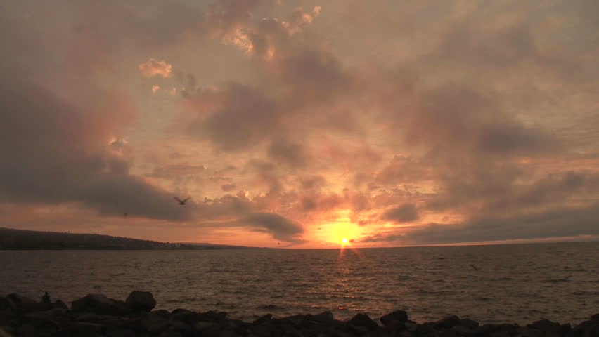 Flock of seagulls fly by and call over Lake Superior in Duluth, Minnesota as the sun rises above water