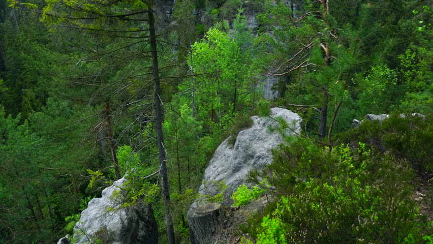 Bohemian Switzerland National Park