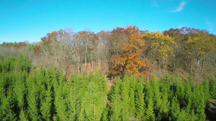 A nice aerial rising shot above the treetops reveals the Holy Hill Christian monastery in rural Wisconsin. (Wisconsin 2010s)