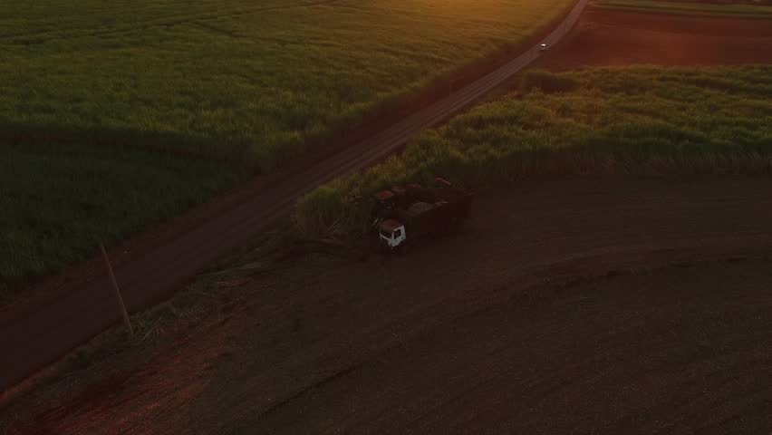 Mechanized sugar cane harvesting near a highway in Sao Paulo, Brazil, during sunset - Canavial - Aerial view