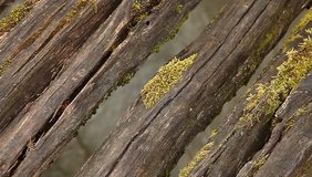 Old wooden bridge over river with moss footage
