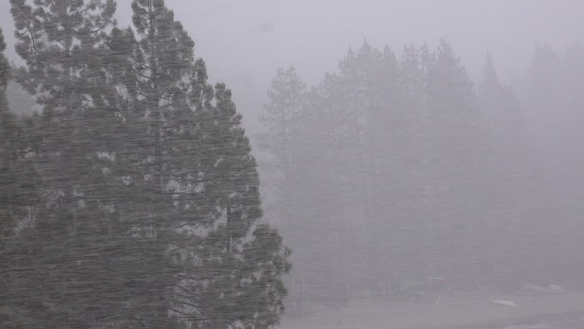 A blinding snowstorm strikes in the Sierra Nevada mountains. (Lake Tahoe, Nevada 2010s)