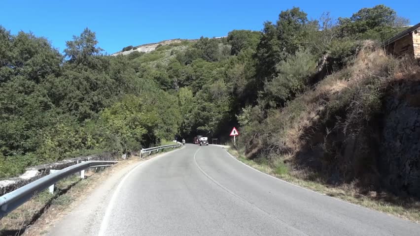 Convoy of vintage cars which run on a paved road bordered by woods 18
