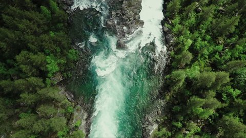 Top Down view of Fast Moving River with Rapids Surrounded by Pine Forest. Shot in Norway