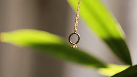 Golden wedding ring on green plant background, close-up - Powered by Shutterstock - Get 15% off with code: PIKWIZARD15