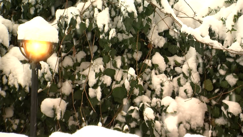 real snowfall HD 1080