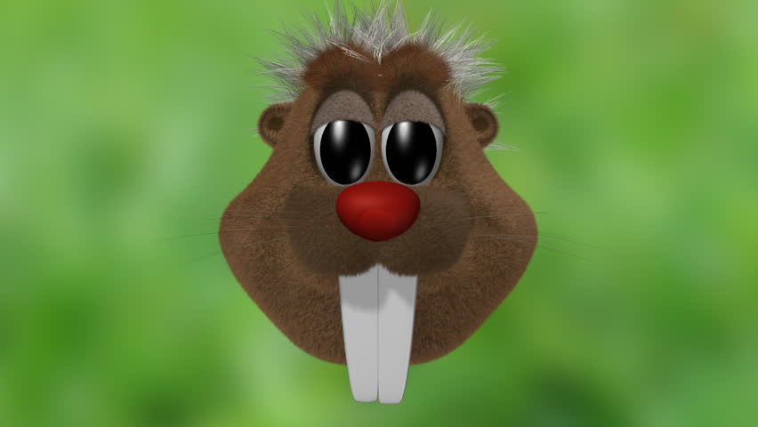 Beaver talking head. Character animation. HD version
