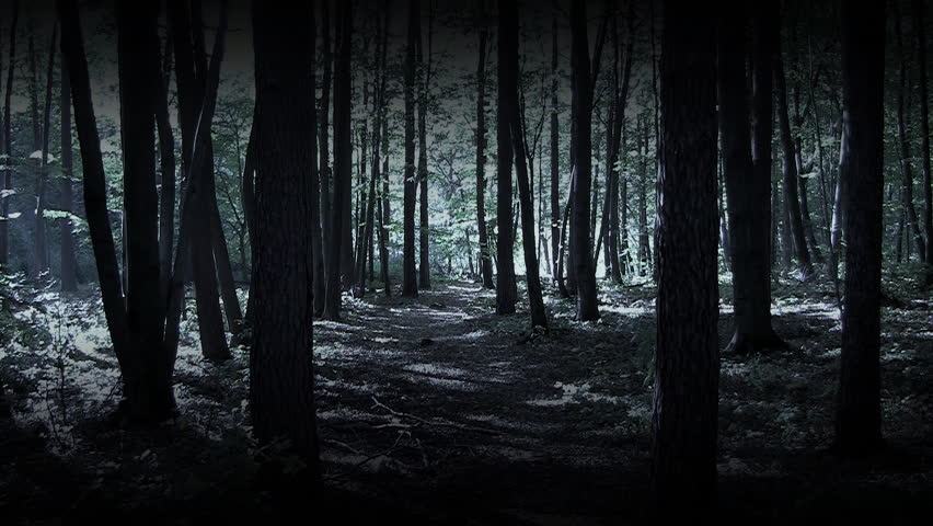 Man Running In Dark Woods Stock Footage Video 100 Royalty Man Running In Dark Woods Stock