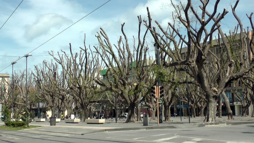 MESSINA - APRIL 15th,2016 - Street with trees in square - April 15th,2016

