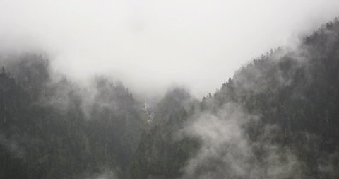4k time lapse of mountain mist rising in the morning,fog pine trees,such as wonderland.Bomi County in tibet,the largest precipitation area in China. gh2_09926_4k