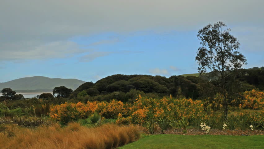 A slight drizzle falls on a landscape by Waikawa Bay.