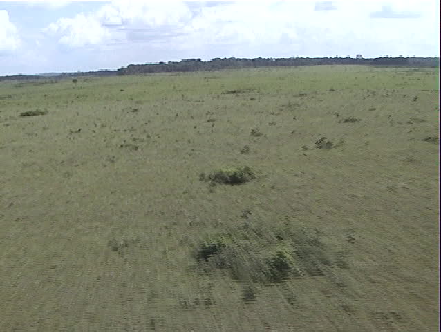 Aerial view of savanna
