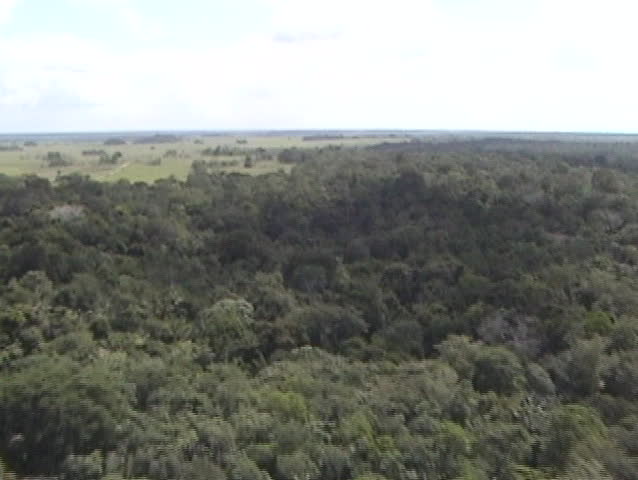 Aerial view of savanna #2