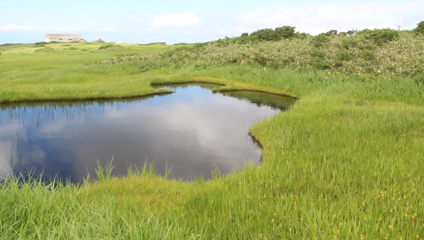 Gassan Midagahara wetlands