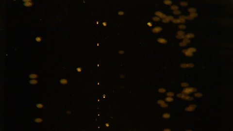 burst pollen particles Stock Footage Video (100% Royalty-free) 1842475 ...