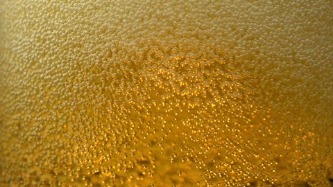 Extreme close-up beer bubbles in glass