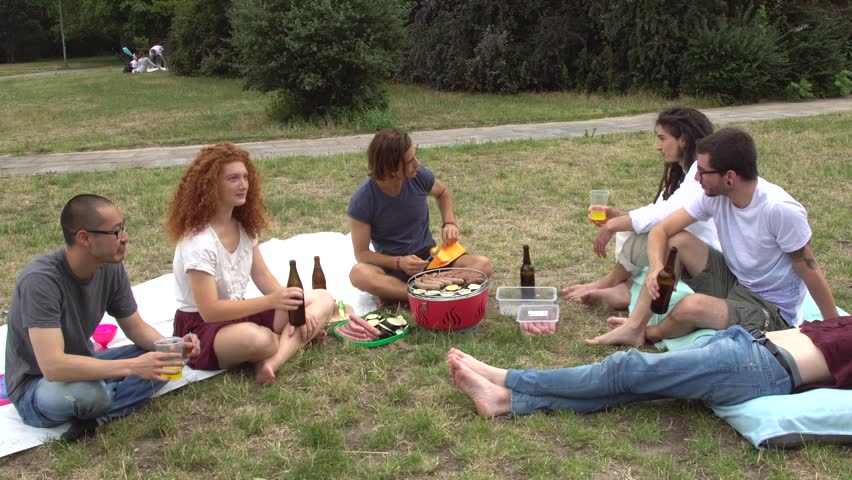 Picnic in park: music, beer and fun