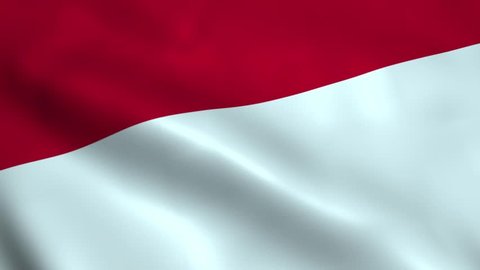 Realistic Indonesia flag